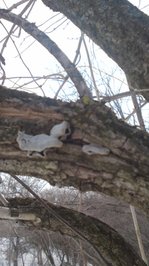 110226_0859~01.jpgのサムネール画像