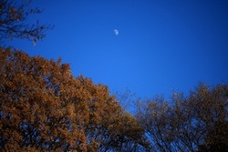 IMG_0192.jpegのサムネール画像