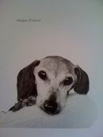 IMG_2962piccaso3.jpgのサムネール画像のサムネール画像