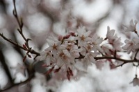 IMG_1967.jpgのサムネール画像