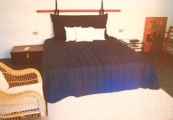 P6220448.jpgのサムネール画像