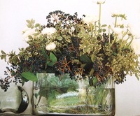 P6290471.jpegのサムネール画像