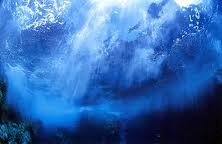 Unknown-10.jpegのサムネール画像