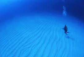 Unknown-2.jpgのサムネール画像