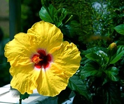 IMG_0487.jpegのサムネール画像