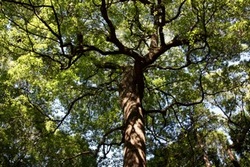 IMG_2925.jpegのサムネール画像