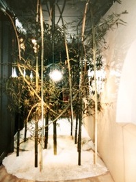 P6130376.jpegのサムネール画像