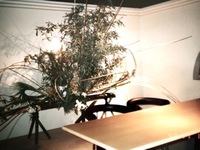 P6130377.jpegのサムネール画像