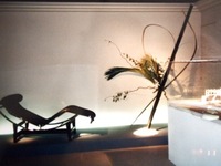 P6130383.jpegのサムネール画像