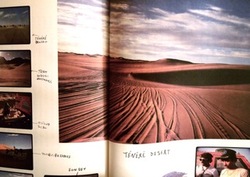 P7300588.jpegのサムネール画像