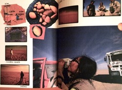 P7300589.jpegのサムネール画像