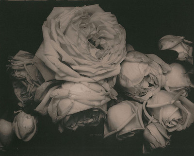 20090322095910.jpgのサムネール画像