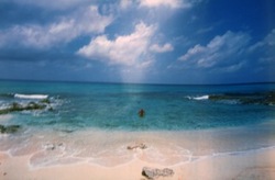 IMG_3169.jpegのサムネール画像