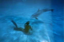 IMG_3170.jpegのサムネール画像