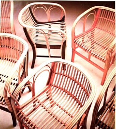 P6250465.jpegのサムネール画像