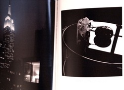 P8210711.jpegのサムネール画像