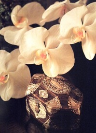 P8210725.jpegのサムネール画像