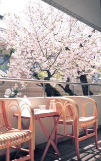 _MG_0125_2.jpegのサムネール画像