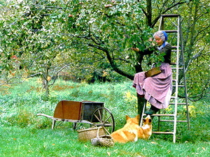 0931-2.jpgのサムネール画像