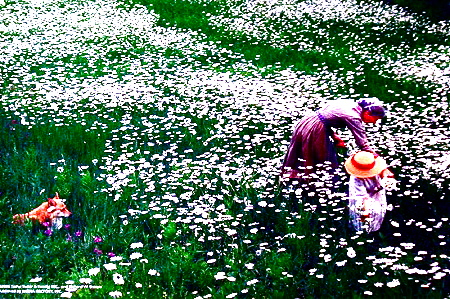 19888141.jpgのサムネール画像