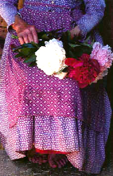 6a00d8341c52e853ef00e5547ce8c18833-800wi.jpgのサムネール画像