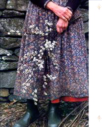 9d8740e7a959491ca3cfc0ff55f07113.jpgのサムネール画像