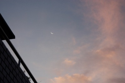 IMG_3244.jpegのサムネール画像