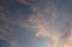 IMG_3253.jpegのサムネール画像