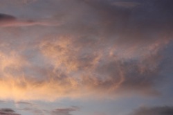 IMG_3254.jpegのサムネール画像