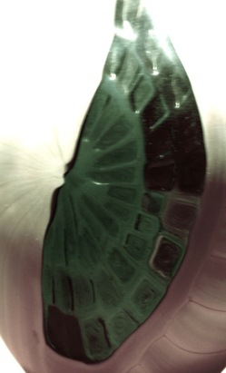 IMG_3378.jpegのサムネール画像