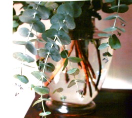 P7230545.jpegのサムネール画像