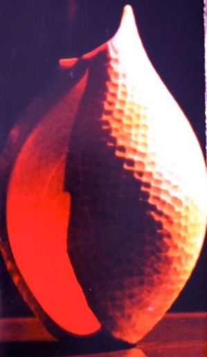 P9150827.jpegのサムネール画像