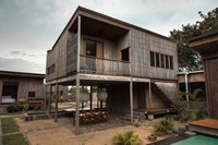 francis8.jpegのサムネール画像