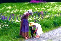 images-1.jpegのサムネール画像