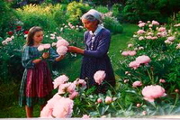 images-11.jpegのサムネール画像