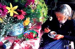 images-11.jpegのサムネール画像