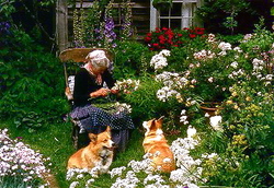 tasya3.jpgのサムネール画像