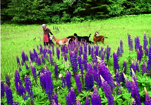 y1pgbx9wpr2IR_cjOEcsq3YB2YFV7whcRBYKD1PaEihoQLmhmuXeBBj6vPuWQVe8PnYhFIgV42fe_skEDuNH9P5VdUPQROaNRrm.jpegのサムネール画像