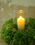 アナベルリース1.jpgのサムネール画像