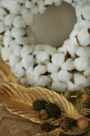 081105.jpgのサムネール画像