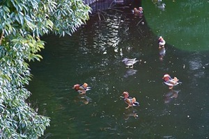 IMG_1831.jpegのサムネール画像