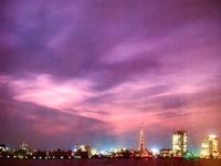 P9190837.jpegのサムネール画像