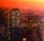 P9190838.jpegのサムネール画像