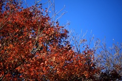 IMG_0181.jpegのサムネール画像