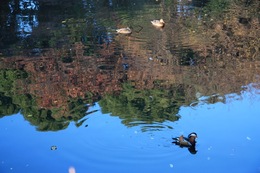 IMG_0769.jpegのサムネール画像