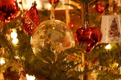 IMG_2293.jpegのサムネール画像