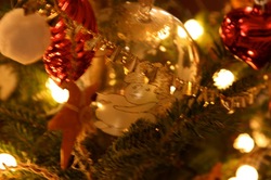 IMG_2294.jpegのサムネール画像