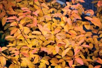 IMG_3814.jpegのサムネール画像