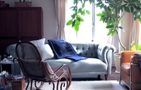 IMG_3853.jpegのサムネール画像