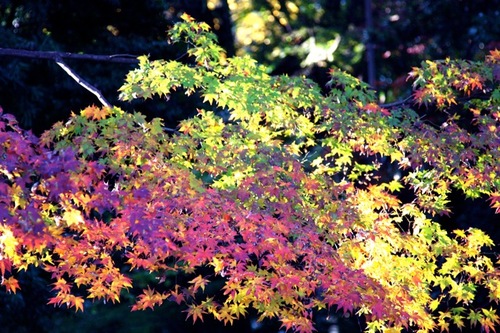 IMG_3924.jpegのサムネール画像